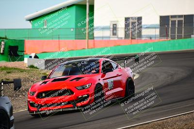 media/Feb-25-2024-Speed Ventures (Sun) [[b9a2a97a4d]]/Mustang Drivers Club/Session 1 (Turns 4 and 5)/